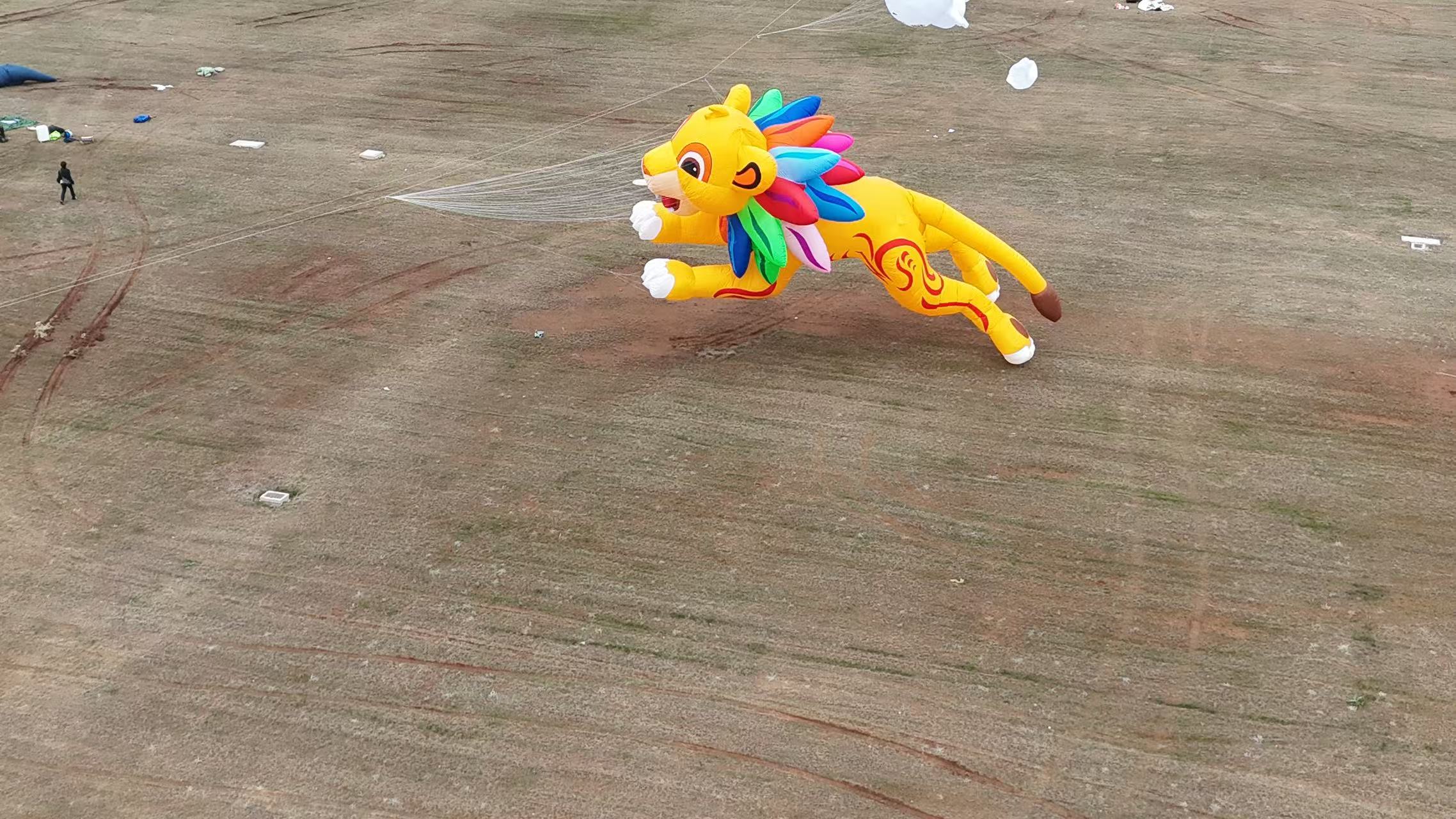 天津品牌风筝定制软体风筝定制 - 价格